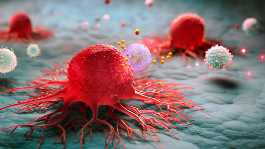 Terapia de Luz Vermelha e Cancro: Benefícios, Estudos e Evidência Científica