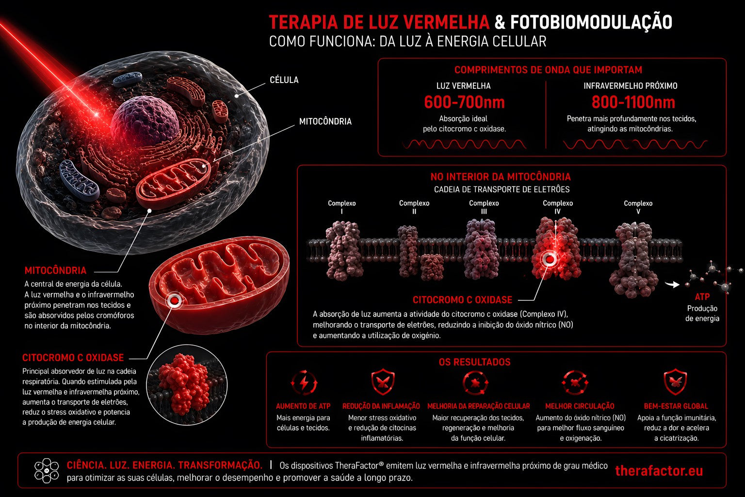 Como funciona terapia de luz vermelha fotobiomodulacao esquema